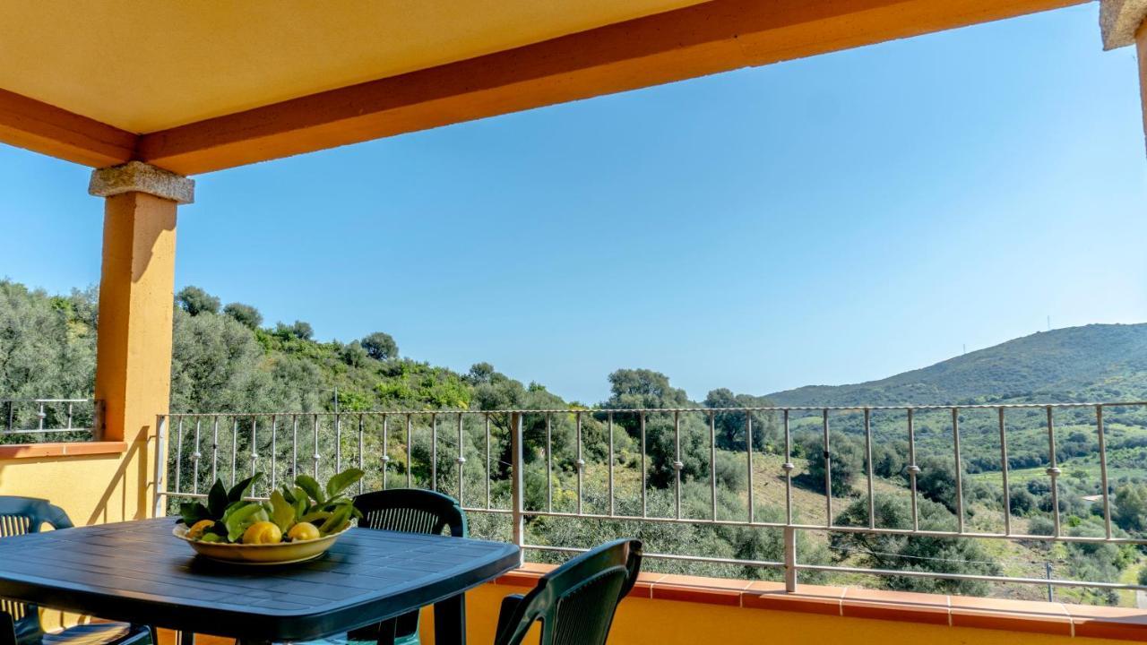 Appartamenti Dodi - Pms Casevacanze Budoni Extérieur photo