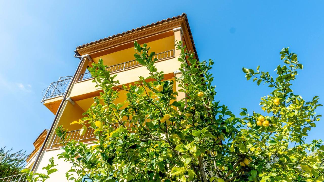 Appartamenti Dodi - Pms Casevacanze Budoni Extérieur photo