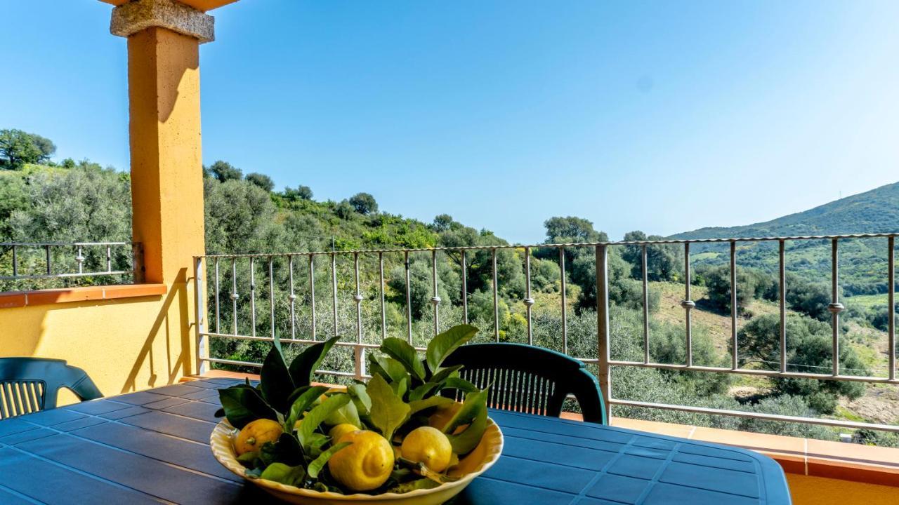 Appartamenti Dodi - Pms Casevacanze Budoni Extérieur photo